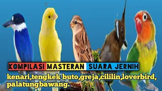 Download komplilasi masteran jernih:kenari,tengkek buto,greja,cililin,loverbird,palatungbawang. MP3