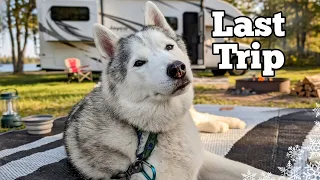 Memphis’s Final Adventure: My Dogs Very Last Camping Trip