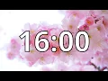 16 Minutes Timer with Music Cherry Blossom Timer