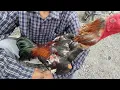 Download Lagu Andijon soy dakan bozori dakan horoz va dakan makyon va dakan joʻjalar  08 06 2025