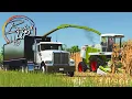 Download Lagu CHOPPING FEED FOR CATTLE | Tune Into 3800 THE BUCH