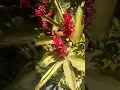 Download Lagu our flowers have grown