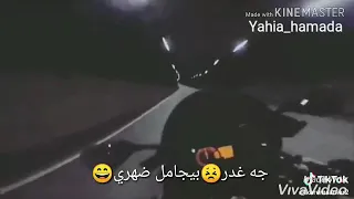 اجمد حالات واتس 2019 عالم تعبانه وصاحبت صاحب يقولي عركه اقولو مراحب بشكل جديد 