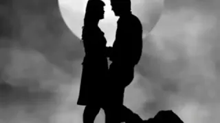 مهرشاد وردة حبي 2005 Mp3 