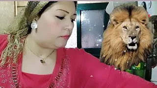 الاحمر علي الأسد يمنع الحسد ربك والنيه حببو الناس فيا حلويات سريعه الحلو للحلوين 