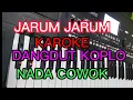 Download Lagu JARUM JARUM KAROKE LIRIK DANGDUT KOPLO NADA COWOK