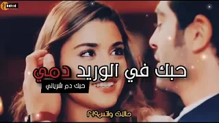 حبك في الوريد دمي حبك دم شرياني حالات واتس اب 2019 