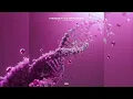 Download Lagu Refuzion - Hardstyle DNA 2024 (Extended Mix)