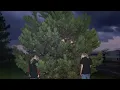 ringtone - Laura Les, Dylan Brady & 100 gecs