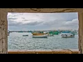 إسكندرية ... محمد منير