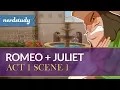 Romeo and Juliet Summary Act 1 Scene 1 - Nerdstudy