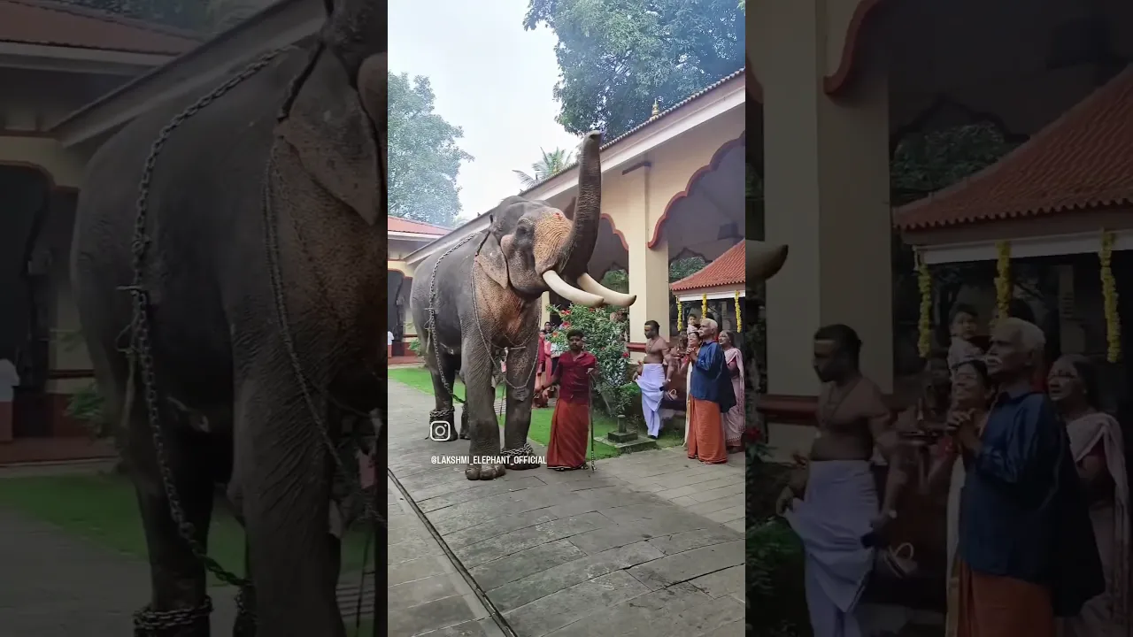 geethanjil kuttiy..