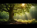 Download Lagu 12 Hours of Relaxing Music - Piano Music for Stress Relief, Sleep Music, Meditation Music (Iris)