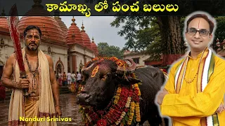 కామాఖ్యలో బలి ఎలా ఇవ్వాలి? మేమూ ఒక పావురాన్ని... | Kamakhya pancha bali | Nanduri Srinivas
