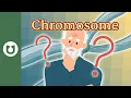 What is a chromosome What is its structure How many chromosomes do we have