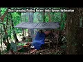 Download Lagu 2hari camping fishing hutan rimba kalimantan