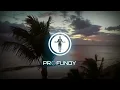RÜFÜS DU SOL - Innerbloom (Vintage Culture & Zerky Remix)