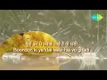 Rim Jhim Rim Jhim | Kumar Sanu | Anil Kapoor | Manisha | 1942 Love Story | 90's Romantic Hindi Song