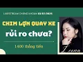 Download Lagu Tám chứng 03/07/2025: Chim lợn quay xe, có rủi ro?