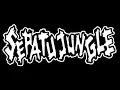 Download Lagu Sepatu Jungle - Tragedi Aceh (Tsunami)