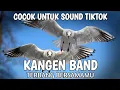 (speed up) Terbang Bersamamu - Kangen Band | lirik \u0026 cover