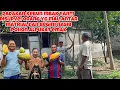 Download Lagu DADAKAN KEBUN MBAK YANTI DI SURVEI ORANG BUAT NGIRIM MATRIAL DAN BEGINI NASIB POHON ALPUKAT EMAK