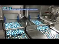 CX-PC16 Pills Counting Filling Production Line