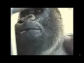 Oliver eats an Apple 1 hour