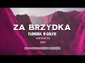 Download Lagu 🎵 ZA BRZYDKA – (Flondra W Golfie) | Marcin Raczuk Remix 🔥 NOWOŚĆ 2025!
