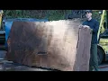 Live Edge For Beginners - Wood Bugs and Green Wood
