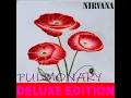 Download Lagu NIRVANA - Pulmonary \
