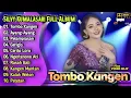 Download Lagu Tombo Kangen - Silvy Kumalasari Full Album | Dangdut Koplo Terbaru | Gerigis,Pelampiasan,Ayang-Ayang