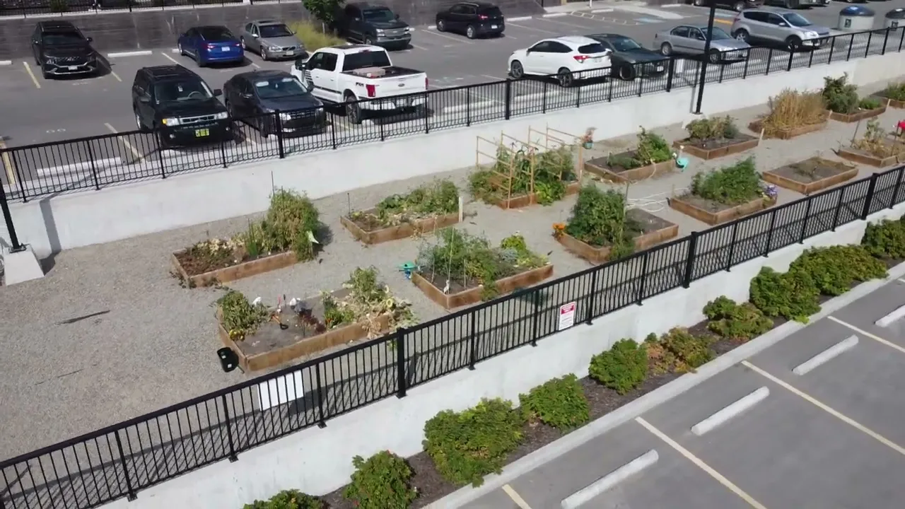 pool patrol pool covers