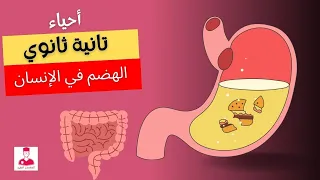 التغذية غير الذاتية الهضم في الانسان أحياء تانية ثانوي شرح الجهاز الهضمي 