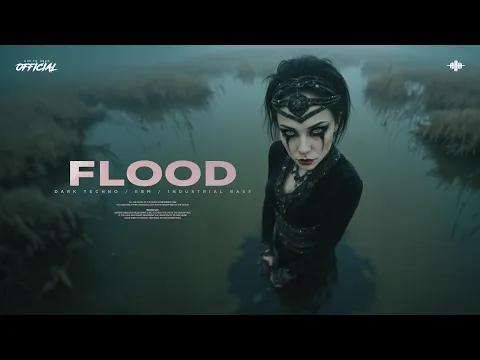 2 Hours Dark Techno Mix / Gothic Industrial Bass / Haunted EBM Music 'FLOOD'