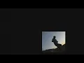 Ted Jasper - Too Worried (Visualiser)
