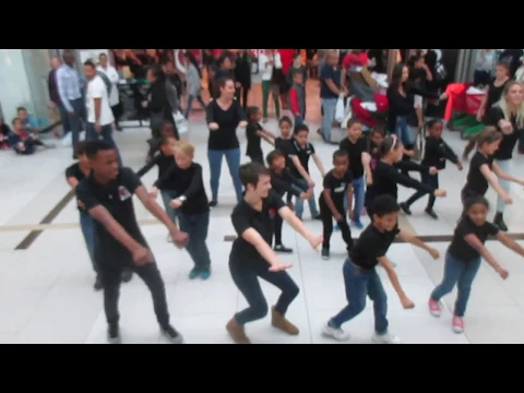 Download MP3 Academy Private School FlashMob in Zevenwacht Mall