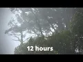 WIND SOUNDS for 12 Hours Sound of Wind for Relaxing Sleep Study Windy Sound