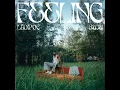 Feeling (feat. BNXN) - LADIPOE