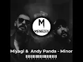 Minor