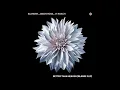 SLANDER & Jason Ross - Better Than Heaven (Feat. JT Roach) (Blanke Flip) (Video Release)