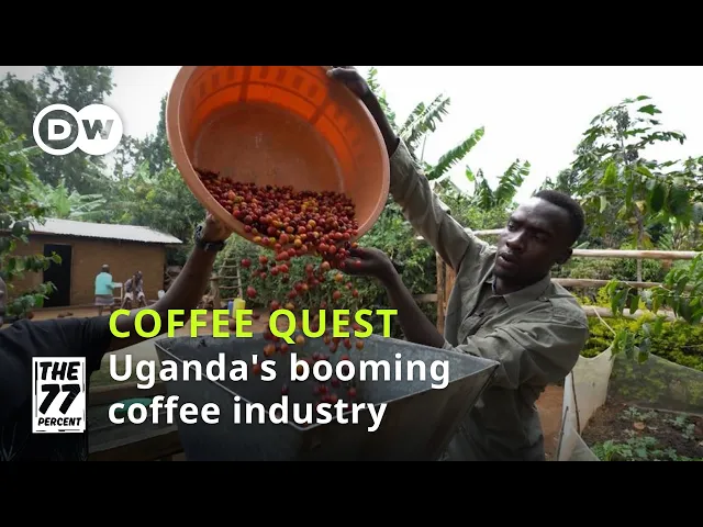 Uganda's coffee farmers strike green gold