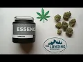 Verano B52 Bomber Flower Review
