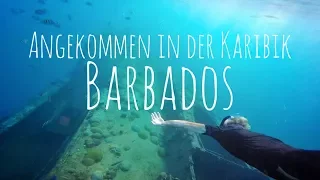 SEGELN: Ankunft in der Karibik – Barbados || Weltreise als Familie || Sailing 7seas #18