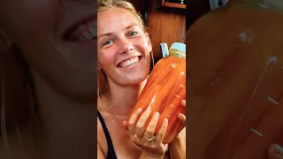 Fermenting Carrots in #sailboat