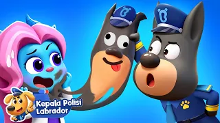 Jangan Bukakan Pintu🚪& Lainnya| Seri Baru: Kota Air!🌊| Kartun Anak-anak | Kepala Polisi Labrador