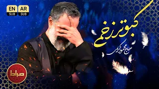 پرستوی غمگین کبوتر زخمی نغمه ای از درد زهرا س محمود کریمی 