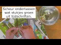 Download Lagu Je stamboom maken met juf Martine