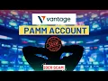 Download Lagu Pamm account Scam-Vantage II Beware of these type of Forex Trading (EA) scams