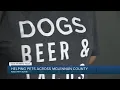 Waco Pets Alive Helping pets across McLennan County